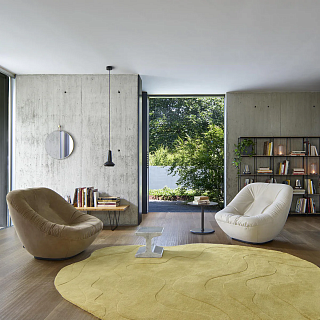 ����� �������� ����� Mustard 1.7x2.4