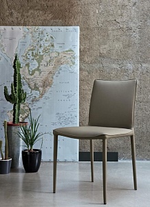 ���� Nata �� Bontempi