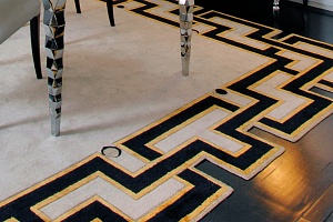 ����� Vissionaire ASOKA